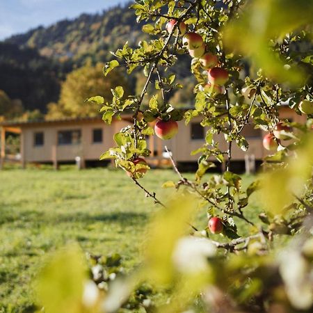 Villa Pinjola Vandans Exterior foto