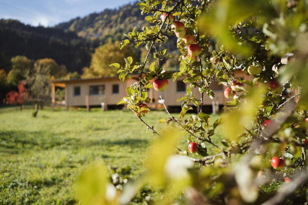 Villa Pinjola Vandans Exterior foto
